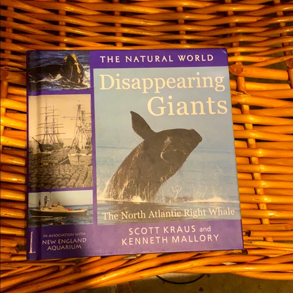 Book Disappearing Giants